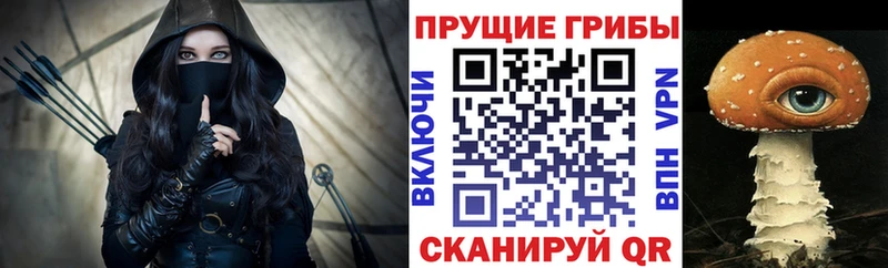 Псилоцибиновые грибы Psilocybine cubensis закладки Семикаракорск