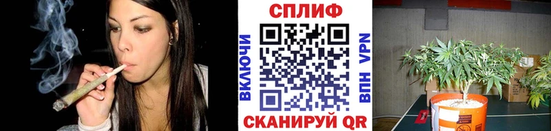Шишки марихуана тримм Семикаракорск